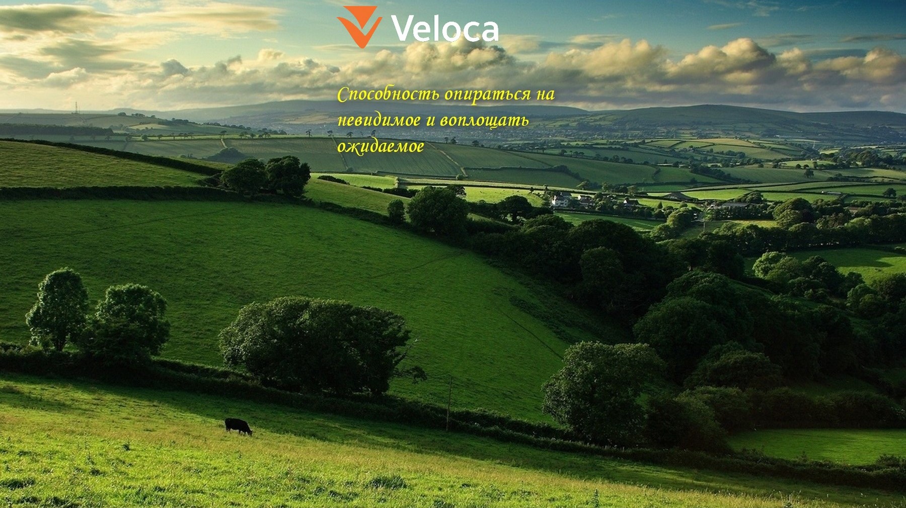 Разработка в Matlab